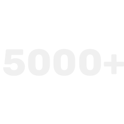 Более 5000 выполненых перевозок